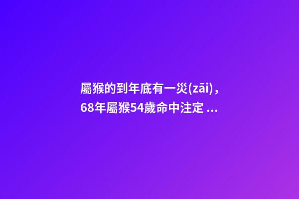 屬猴的到年底有一災(zāi)，68年屬猴54歲命中注定 68年屬猴女2023年的運(yùn)程-第1張-觀點(diǎn)-玄機(jī)派